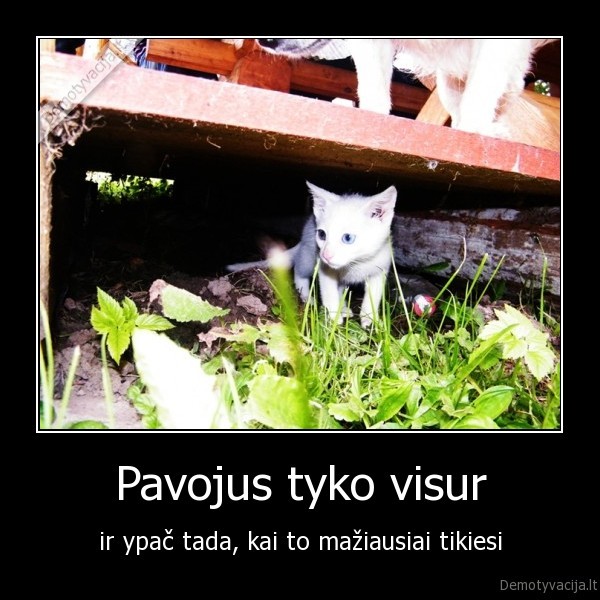 Pavojus tyko visur