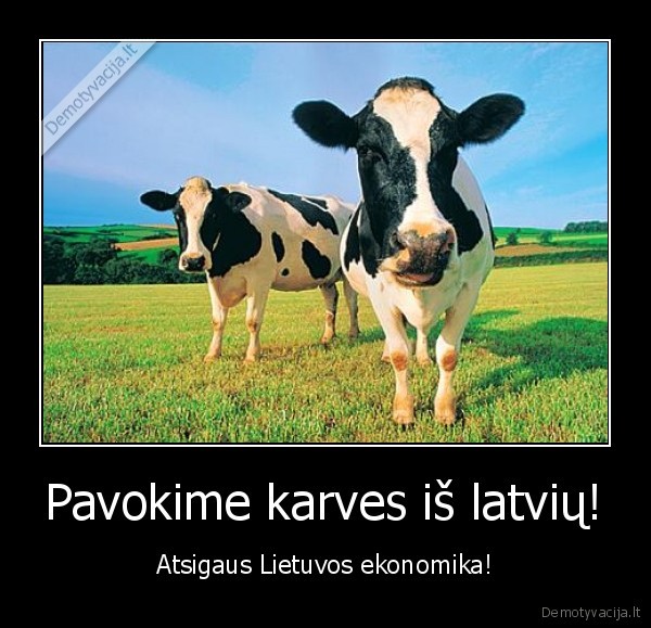 Pavokime karves iš latvių!