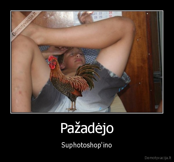 benas, kazukolovas,gaidys,pazado, istesejimas,5062, like