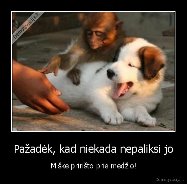 Pažadėk, kad niekada nepaliksi jo