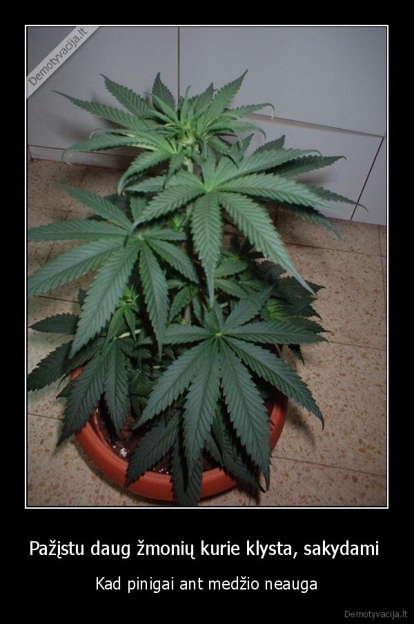 Pažįstu daug žmonių kurie klysta, sakydami 