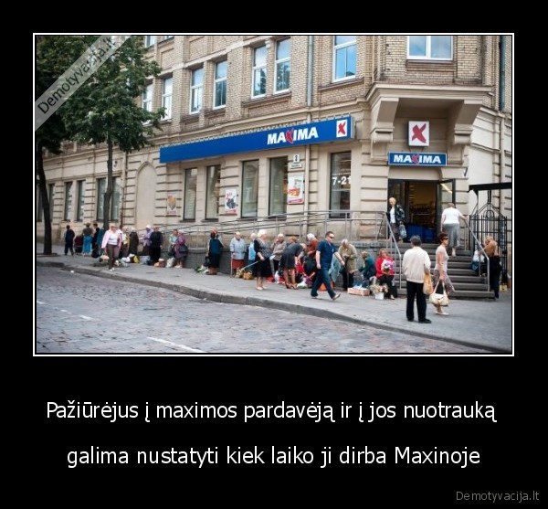 maxima,gavno