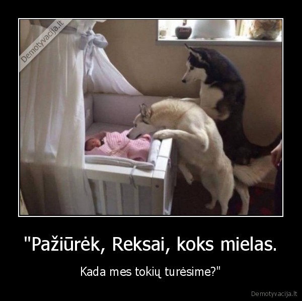 suo,vaikas,reksas,kudikis