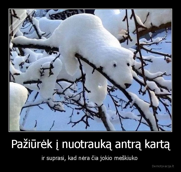 meskiukas,nuotrauka,iliuzija,sniegas,sakos