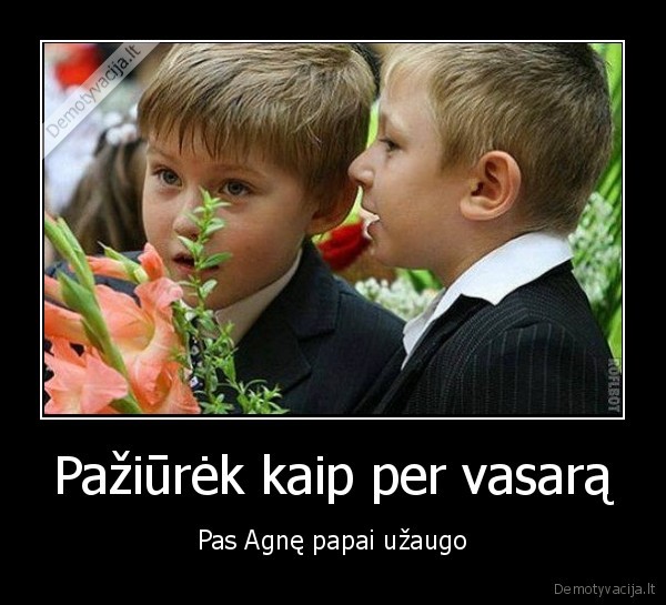 papai,moksleiviai