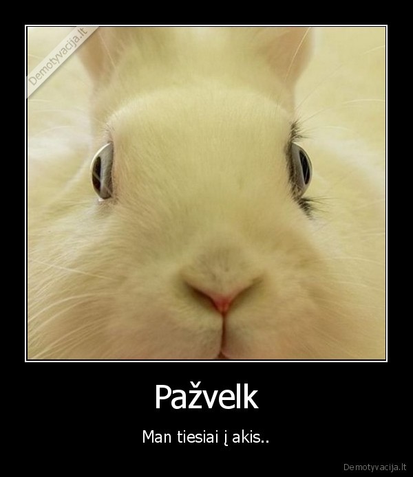 Pažvelk