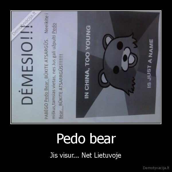 pedro, bear, xd