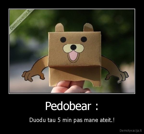 pedo, bear