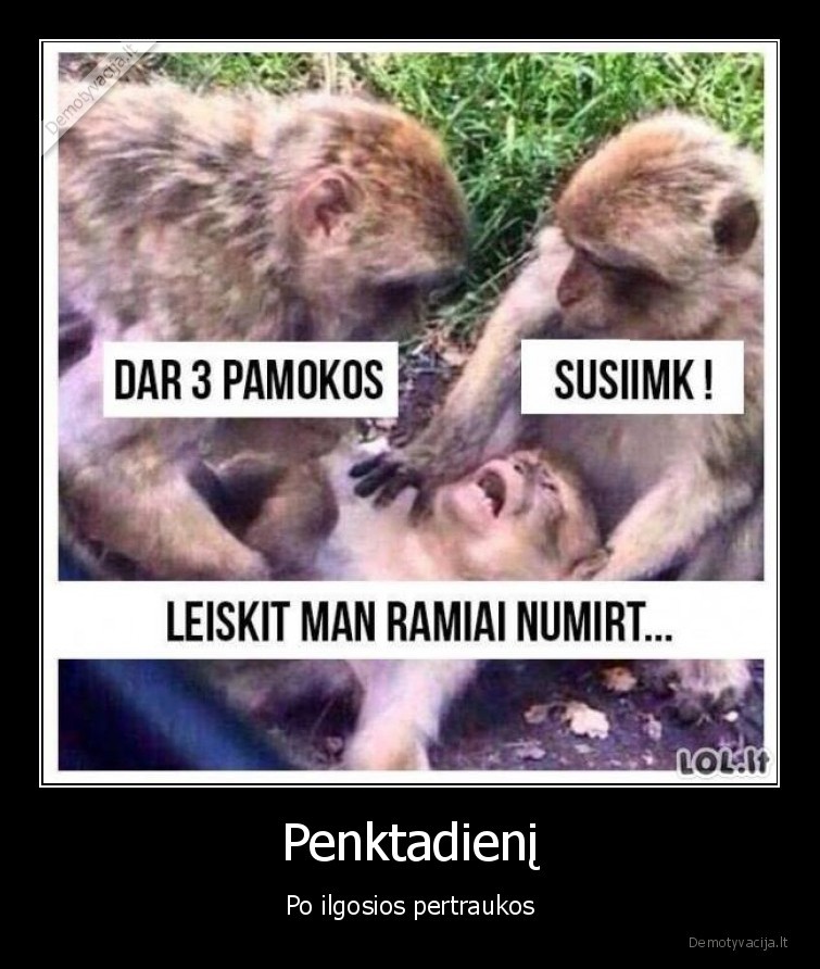 pamokos,sunku