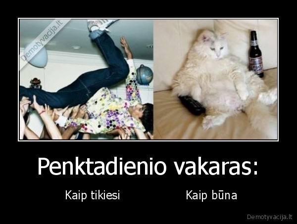 Penktadienio vakaras: