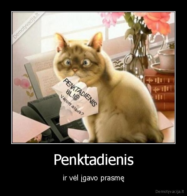 varom,gert,ner,ka,veikt