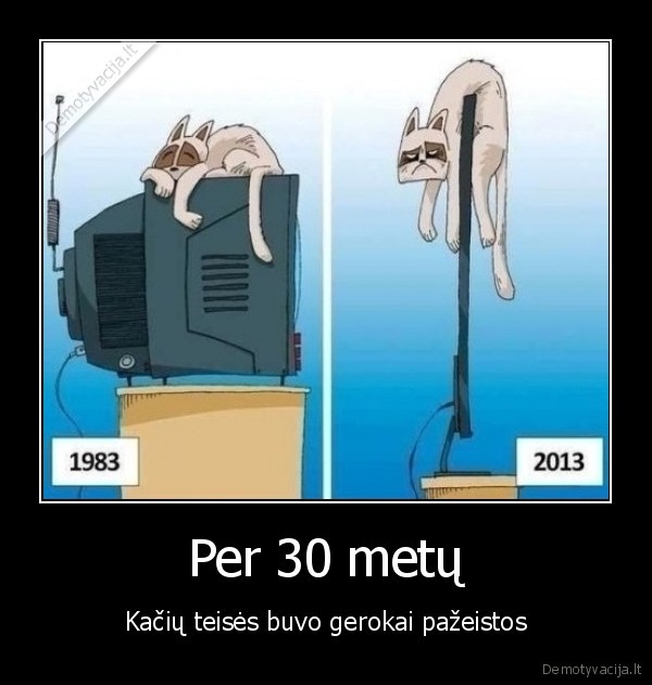 kaciu, teises,televizoriai