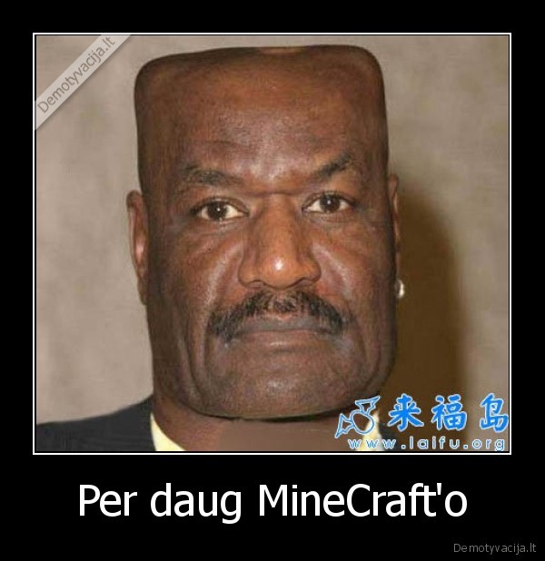 Per daug MineCraft'o