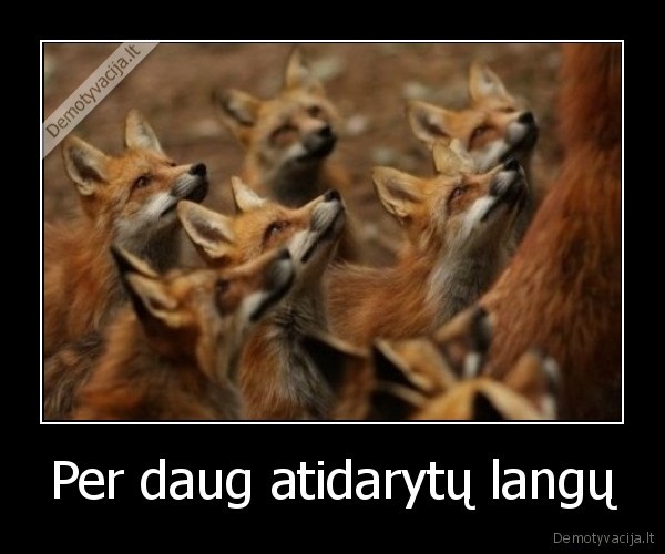 Per daug atidarytų langų