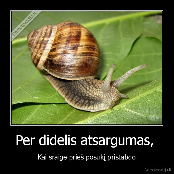 Per didelis atsargumas, 