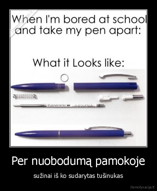 ir, visalaika, pametu, spyruokle