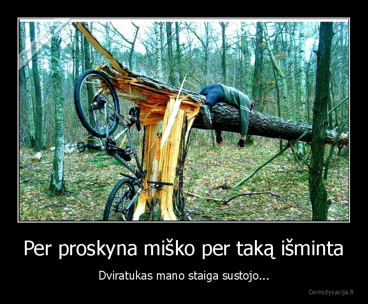 ostapenko,dviratukas,miskas,daina