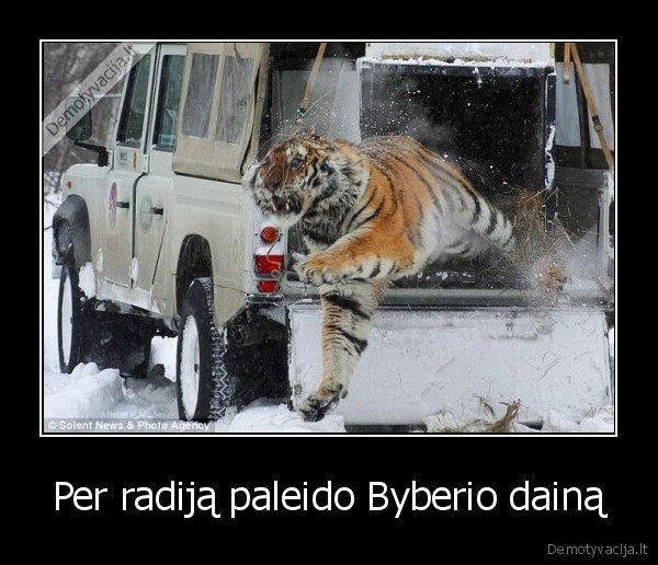 Per radiją paleido Byberio dainą