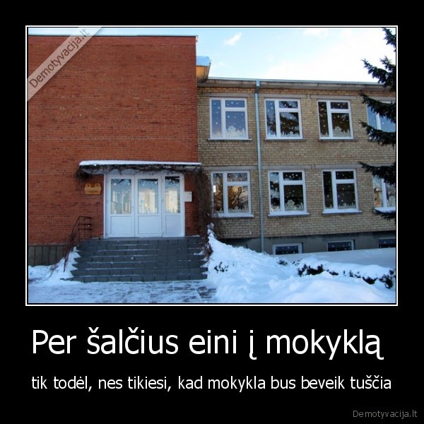 mokykla,salciai