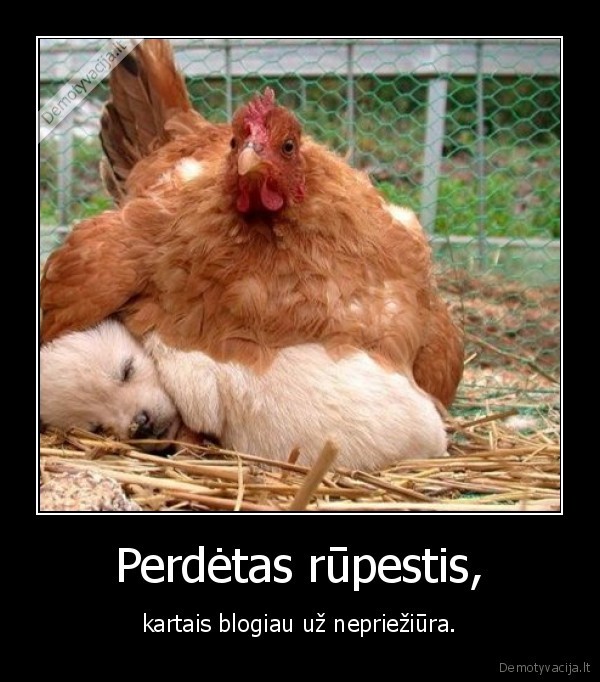 Perdėtas rūpestis,