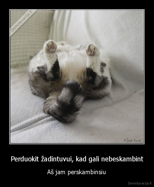 zadintuvas,sunkus, rytas,norisi, miego