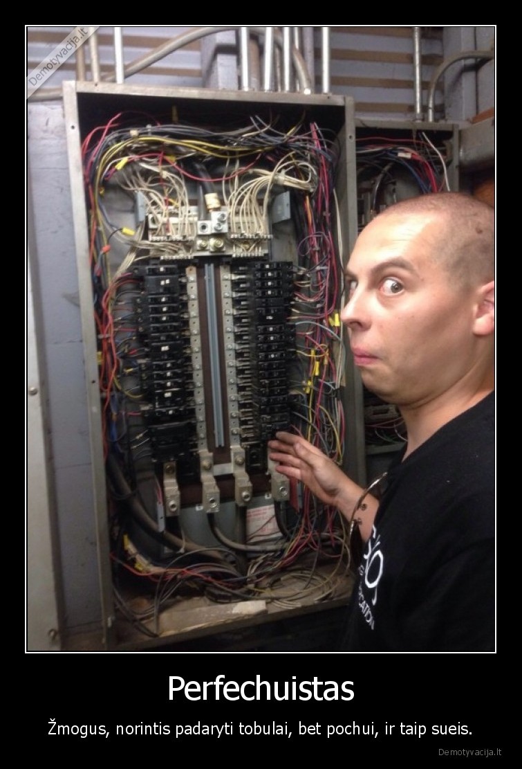 pochuistas,perfekcionistas