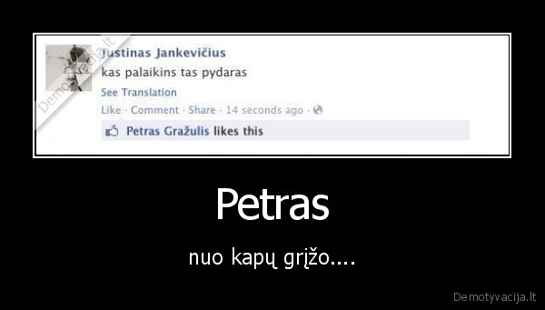 pyderas, grazulis