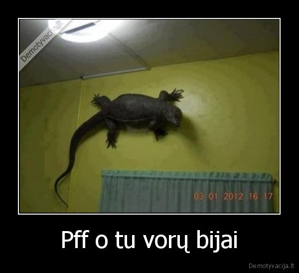 Pff o tu vorų bijai