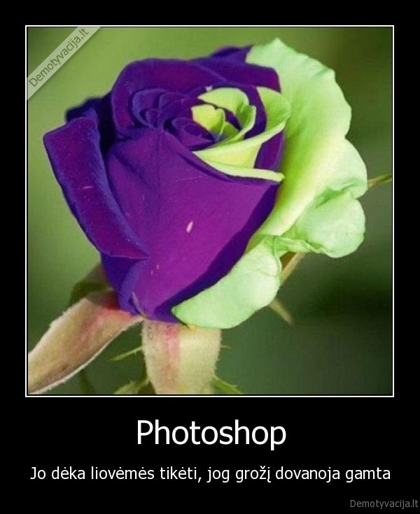 photoshop,tiketi,kyla,grozis,savaime