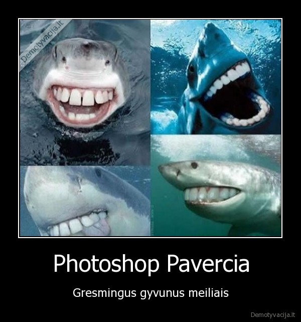 Photoshop Pavercia
