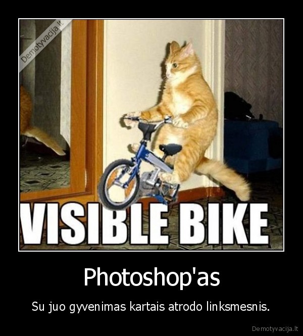 photoshopas,katinas,dviratis