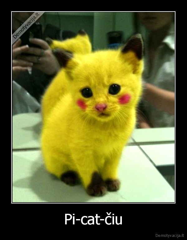 Pi-cat-čiu