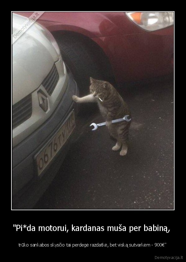 katinas,kate,mechanikas