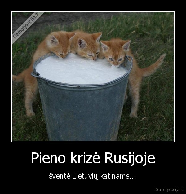 krize,pienas,rusija,lietuva,katinai