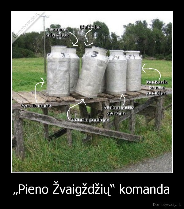 zalgiris, pieno, zvaigzdes, finalas