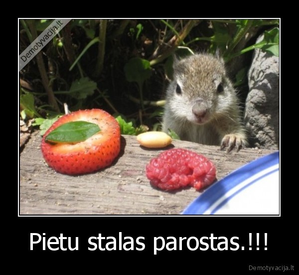 vovere,stalas,maistas