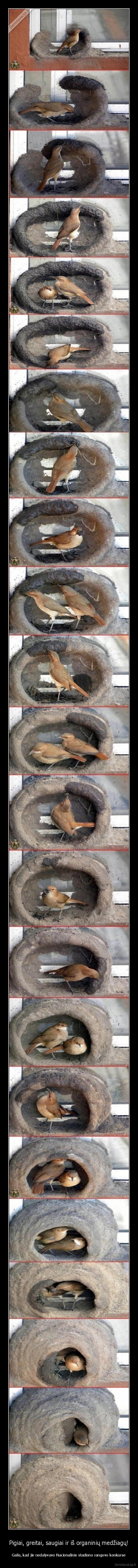 Pigiai, greitai, saugiai ir iš organinių medžiagų!