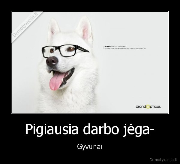 Pigiausia darbo jėga-