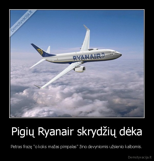 Pigių Ryanair skrydžių dėka