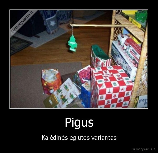 krize,kaledos,dovanos,sventes