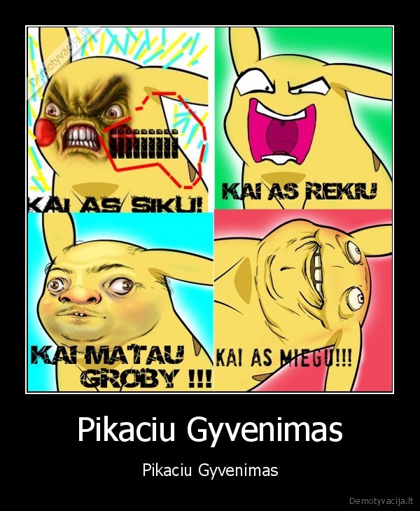 pikaciu, pika, pikapika, gyvenimas