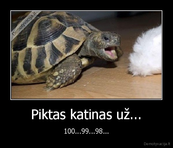 Piktas katinas už...