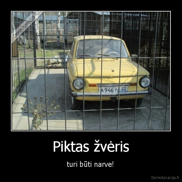 zveris,narvas,zapukas