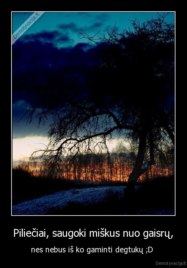 Piliečiai, saugoki miškus nuo gaisrų,