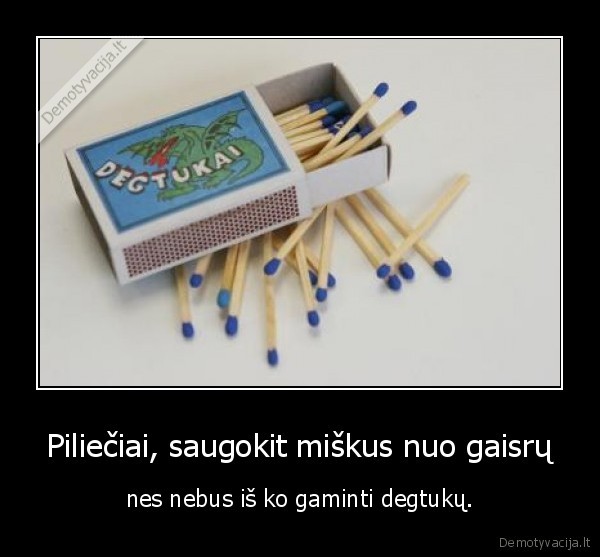 Piliečiai, saugokit miškus nuo gaisrų