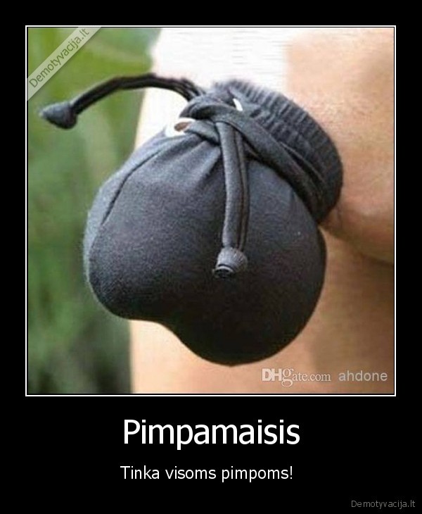 Pimpamaisis