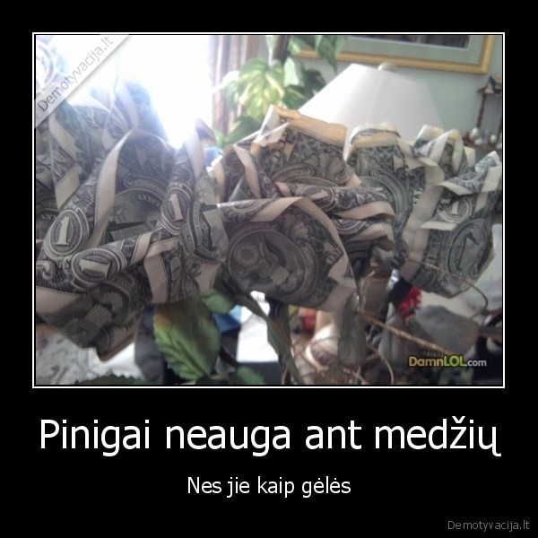 pinigai,moteris,gele,medis