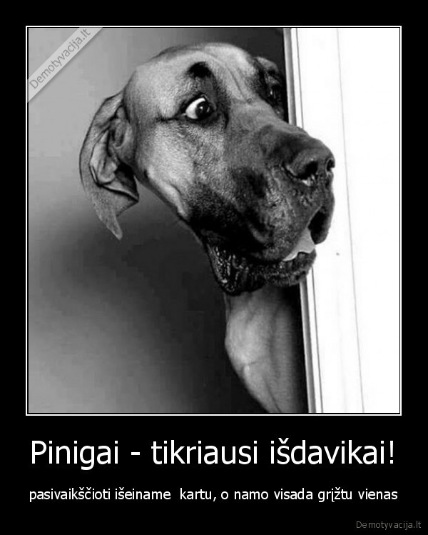 Pinigai - tikriausi išdavikai!