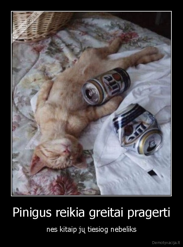 Pinigus reikia greitai pragerti