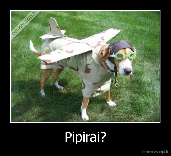 Pipirai?
